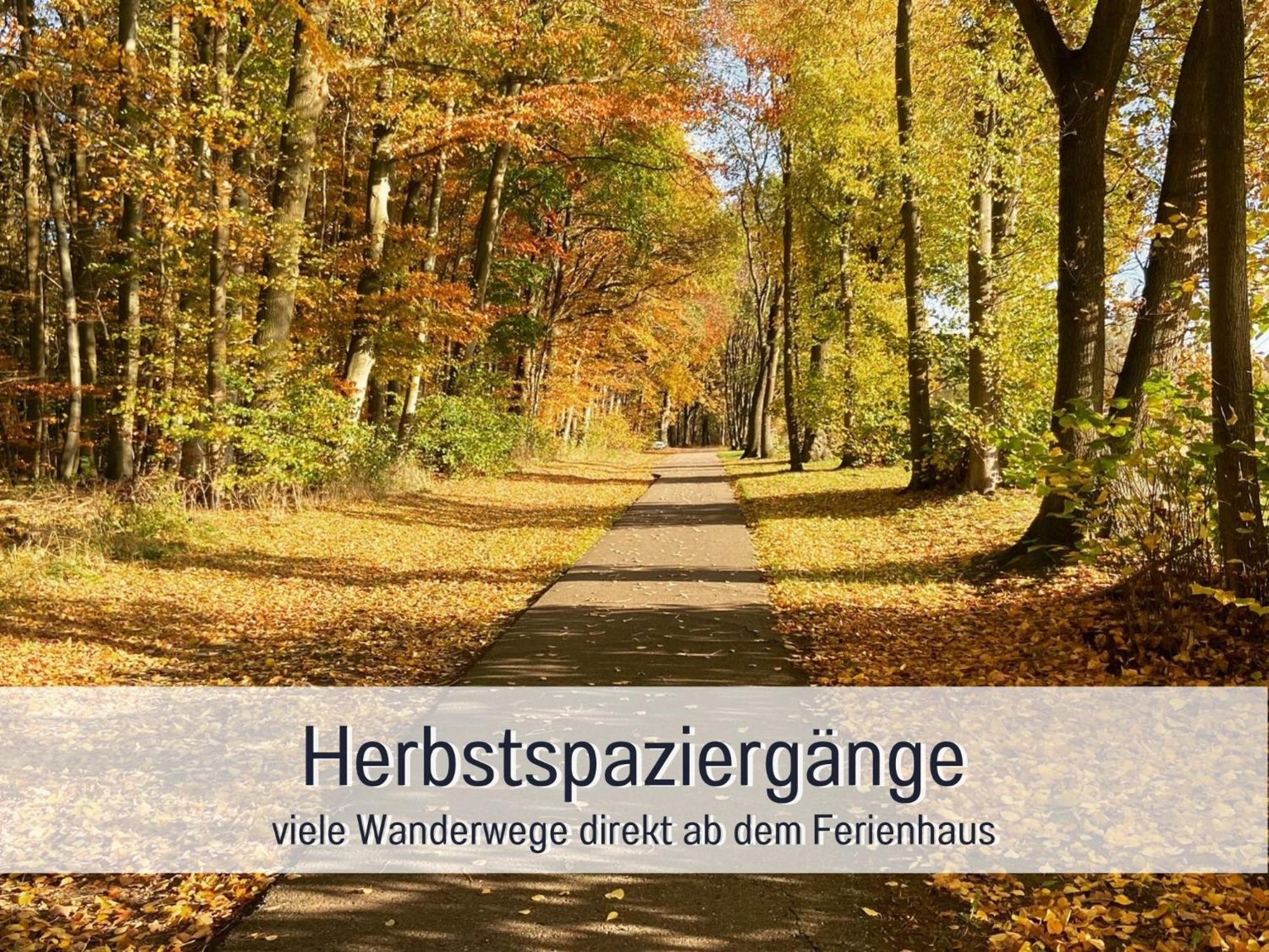 Strandhaus Mathea - Ruhige Lage Direkt Am Fleesensee - Parkplatz, Kamin, Sauna - Familienfreundlich Unter Göhren Kültér fotó
